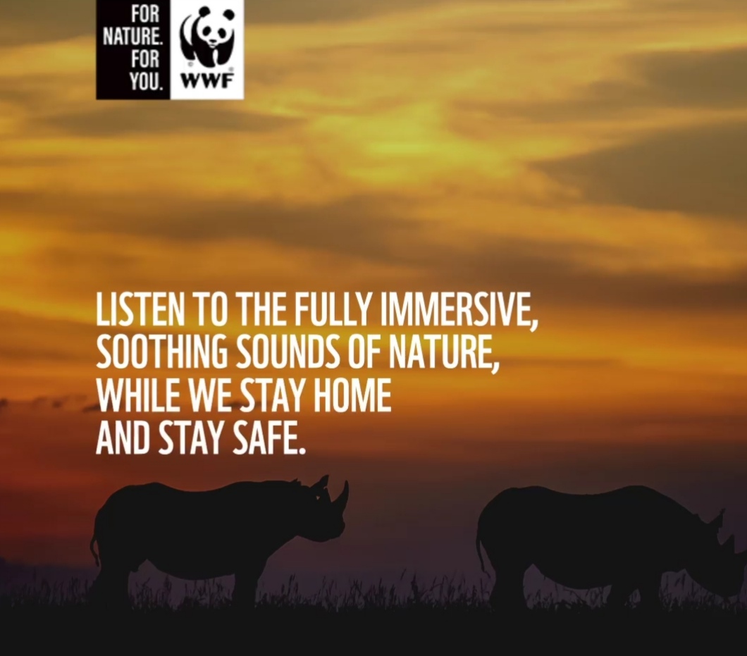 WWF brings nature inside with the soundscapes of our beautiful natural world
